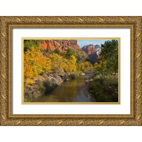 UT, Zion NP Zion Canyon and Virgin River Gold Ornate Wood Framed Art Print with Double Matting by Rotenberg, Nancy