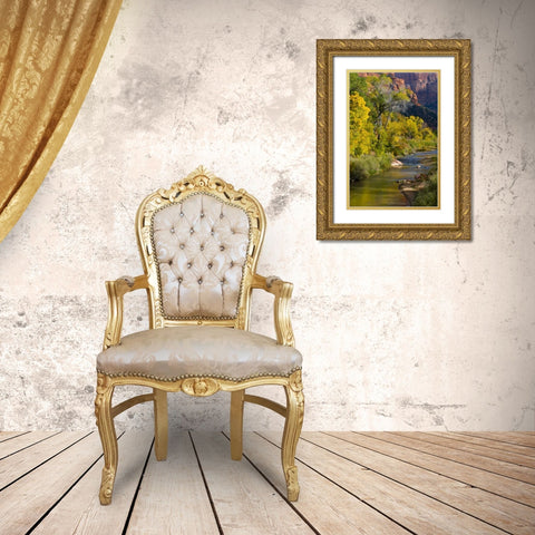 UT, Zion NP Virgin River and cottonwood trees Gold Ornate Wood Framed Art Print with Double Matting by Rotenberg, Nancy