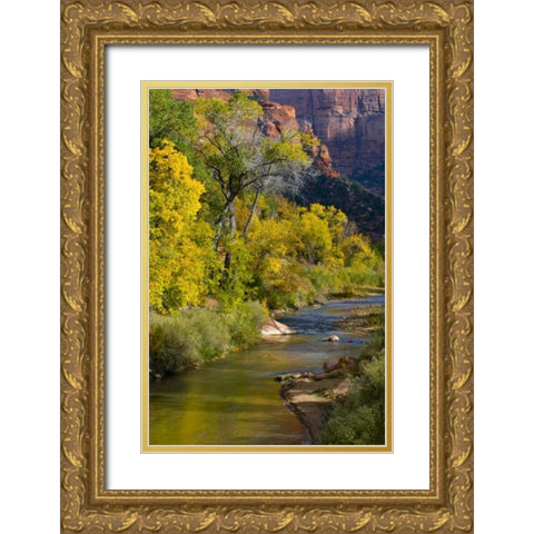 UT, Zion NP Virgin River and cottonwood trees Gold Ornate Wood Framed Art Print with Double Matting by Rotenberg, Nancy