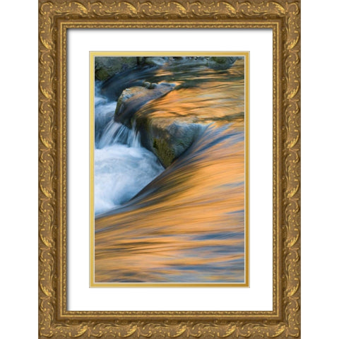 UT, Zion NP Canyon reflections on Virgin River Gold Ornate Wood Framed Art Print with Double Matting by Rotenberg, Nancy