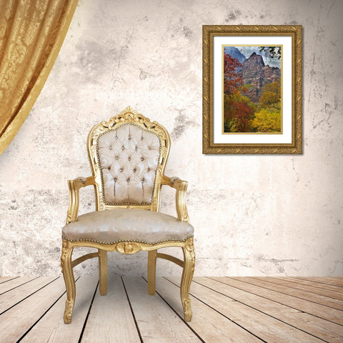 USA, Utah, Zion NP Fall foliage in The Narrows Gold Ornate Wood Framed Art Print with Double Matting by Rotenberg, Nancy