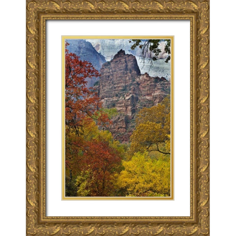 USA, Utah, Zion NP Fall foliage in The Narrows Gold Ornate Wood Framed Art Print with Double Matting by Rotenberg, Nancy