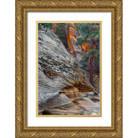 Utah, Zion NP Rock formations in Red Rock Canyon Gold Ornate Wood Framed Art Print with Double Matting by Rotenberg, Nancy
