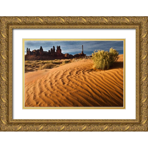 Utah, Monument Valley Sand dunes with Totem Pole Gold Ornate Wood Framed Art Print with Double Matting by Rotenberg, Nancy