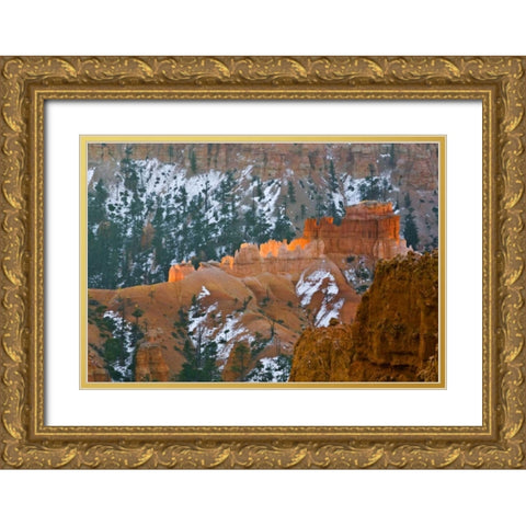 UT, Bryce Canyon Hoodoo formations and evergreen Gold Ornate Wood Framed Art Print with Double Matting by Rotenberg, Nancy