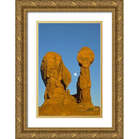 UT, Arches NP Moonrise over Garden of Eden Gold Ornate Wood Framed Art Print with Double Matting by Illg, Cathy and Gordon