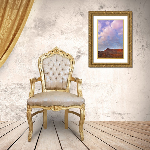 UT, Canyonlands NP Grand View Point Overlook Gold Ornate Wood Framed Art Print with Double Matting by Lord, Fred