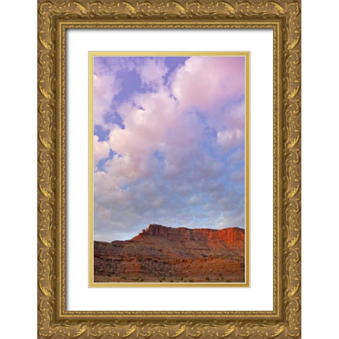UT, Canyonlands NP Grand View Point Overlook Gold Ornate Wood Framed Art Print with Double Matting by Lord, Fred