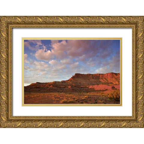 UT, Canyonlands NP Grand View Point Overlook Gold Ornate Wood Framed Art Print with Double Matting by Lord, Fred
