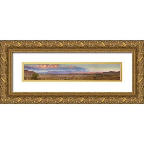 UT, Moab, Canyonlands NP Mesa and Monte La Sal Gold Ornate Wood Framed Art Print with Double Matting by Lord, Fred