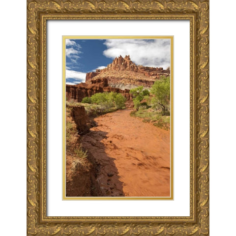 UT, Capitol Reef NP Fremont River after rain Gold Ornate Wood Framed Art Print with Double Matting by Welling, Dave