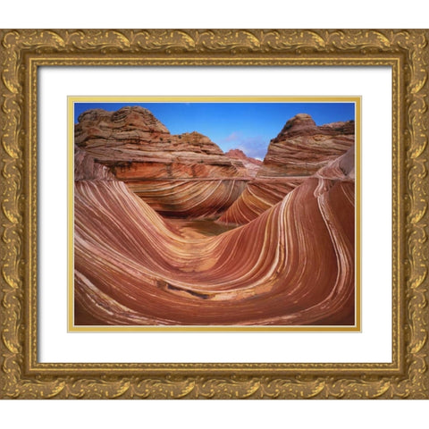 Utah, Paria Canyon The Wave formation, sandstone Gold Ornate Wood Framed Art Print with Double Matting by Flaherty, Dennis