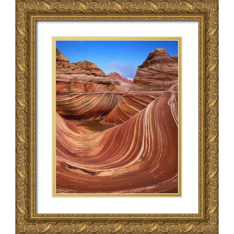 Utah, Paria Canyon The Wave formation, sandstone Gold Ornate Wood Framed Art Print with Double Matting by Flaherty, Dennis