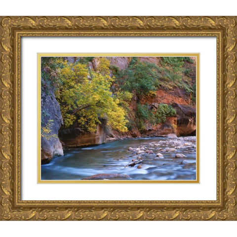 Utah, Zion NP The Virgin River in the Narrows Gold Ornate Wood Framed Art Print with Double Matting by Flaherty, Dennis