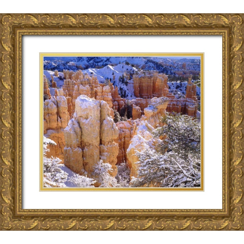 Utah, Bryce Canyon NP in Winter Gold Ornate Wood Framed Art Print with Double Matting by Talbot Frank, Christopher