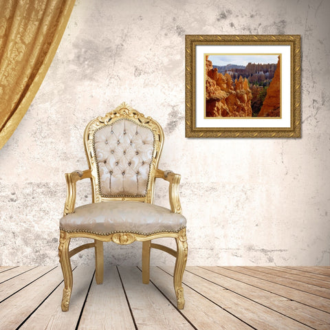 Utah, Bryce Canyon NP Sandstone formations Gold Ornate Wood Framed Art Print with Double Matting by Talbot Frank, Christopher