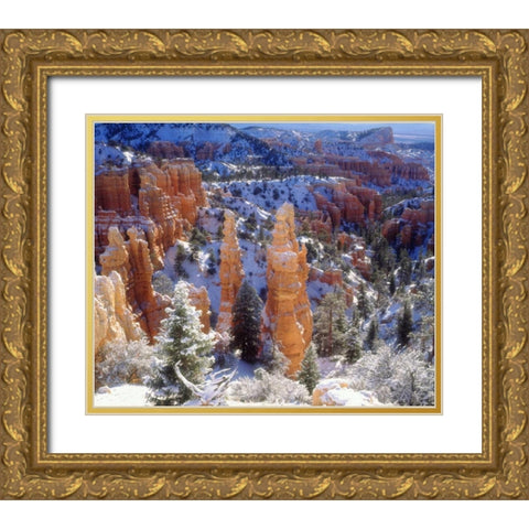 USA, Utah, Bryce Canyon NP Winter Gold Ornate Wood Framed Art Print with Double Matting by Talbot Frank, Christopher