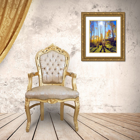 USA, Utah, Fall colors of Aspen trees Gold Ornate Wood Framed Art Print with Double Matting by Talbot Frank, Christopher