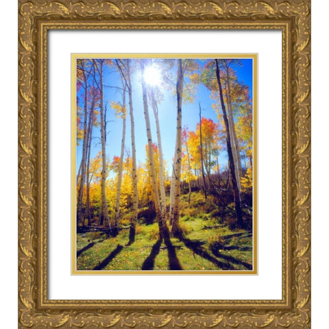 USA, Utah, Fall colors of Aspen trees Gold Ornate Wood Framed Art Print with Double Matting by Talbot Frank, Christopher