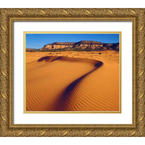 USA, Utah Coral Pink Sand Dunes at sunset Gold Ornate Wood Framed Art Print with Double Matting by Talbot Frank, Christopher
