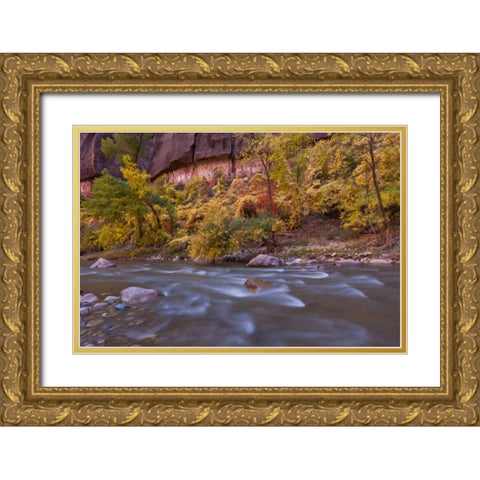 USA, Utah, Zion NP Autumn on the Virgin River Gold Ornate Wood Framed Art Print with Double Matting by Illg, Cathy and Gordon