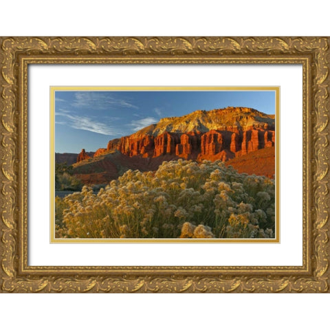 UT, Capitol Reef NP Sunset of Panorama Point Gold Ornate Wood Framed Art Print with Double Matting by Illg, Cathy and Gordon