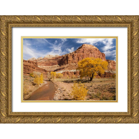 Utah, Capitol Reef Creek and autumn landscape Gold Ornate Wood Framed Art Print with Double Matting by Illg, Cathy and Gordon