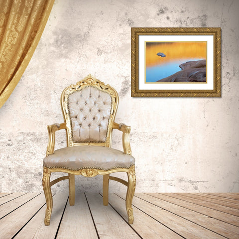 USA, Utah Reflection in Lake Powell Gold Ornate Wood Framed Art Print with Double Matting by Paulson, Don