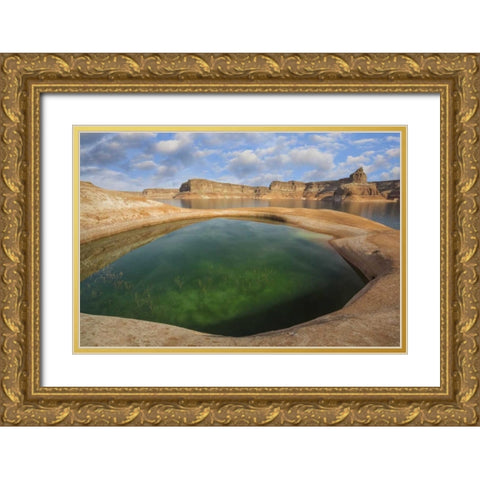 Utah, Glen Canyon Pool of water at Lake Powell Gold Ornate Wood Framed Art Print with Double Matting by Paulson, Don