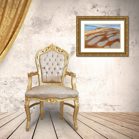 Utah, Glen Canyon Bleached patterns in sandstone Gold Ornate Wood Framed Art Print with Double Matting by Paulson, Don