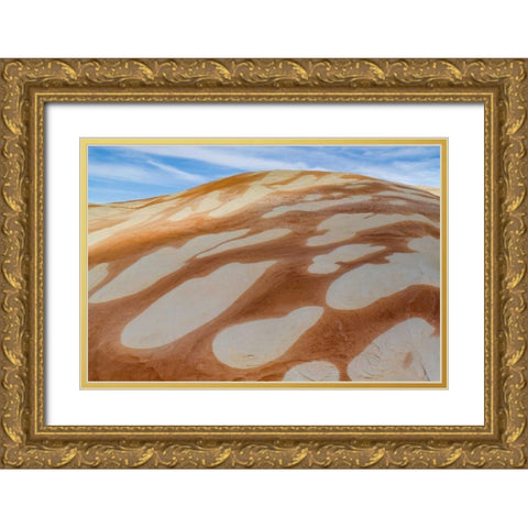 Utah, Glen Canyon Bleached patterns in sandstone Gold Ornate Wood Framed Art Print with Double Matting by Paulson, Don