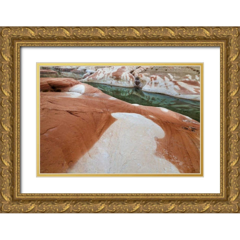 Utah, Glen Canyon Bleached patterns in sandstone Gold Ornate Wood Framed Art Print with Double Matting by Paulson, Don
