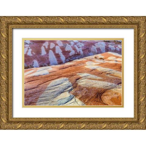 Utah, Glen Canyon Bleached patterns in sandstone Gold Ornate Wood Framed Art Print with Double Matting by Paulson, Don