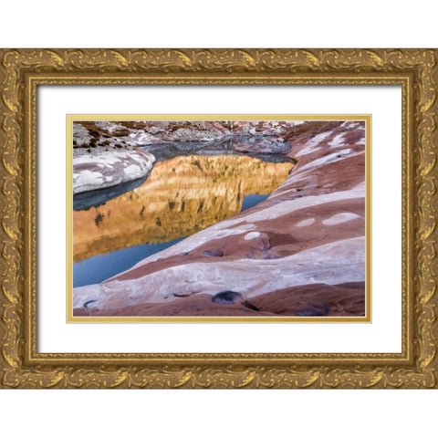 Utah, Glen Canyon Bleached patterns in sandstone Gold Ornate Wood Framed Art Print with Double Matting by Paulson, Don