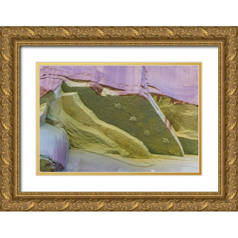 Utah, Glen Canyon Dinosaur tracks on rock face Gold Ornate Wood Framed Art Print with Double Matting by Paulson, Don