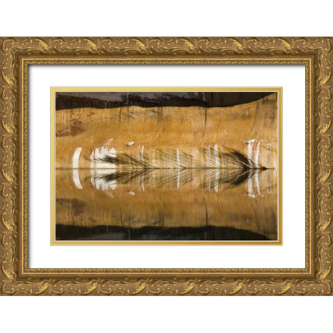 Utah, Glen Canyon Abstract reflection sandstone Gold Ornate Wood Framed Art Print with Double Matting by Paulson, Don