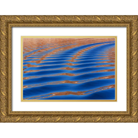 Utah, Glen Canyon Reflection in Lake Powell Gold Ornate Wood Framed Art Print with Double Matting by Paulson, Don