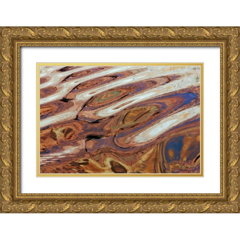 Utah, Glen Canyon Reflection in Lake Powell Gold Ornate Wood Framed Art Print with Double Matting by Paulson, Don
