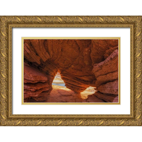 Utah, Glen Canyon NRA Eroded sandstone cave Gold Ornate Wood Framed Art Print with Double Matting by Paulson, Don