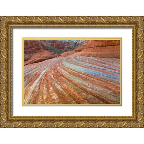 UT, Glen Canyon Patterns in sandstone rock Gold Ornate Wood Framed Art Print with Double Matting by Paulson, Don