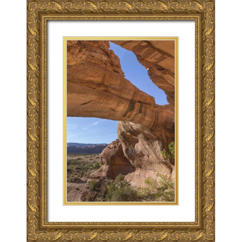 Utah, Glen Canyon NRA Close-up of Jacks Arch Gold Ornate Wood Framed Art Print with Double Matting by Paulson, Don