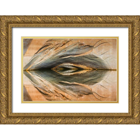 Utah, Glen Canyon Abstract reflection sandstone Gold Ornate Wood Framed Art Print with Double Matting by Paulson, Don