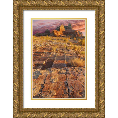Utah, Glen Canyon Sunset on sandstone formations Gold Ornate Wood Framed Art Print with Double Matting by Paulson, Don