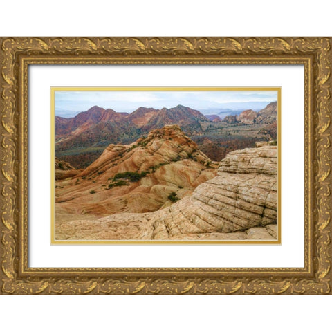 Utah Landscape in Dixie National Forest Gold Ornate Wood Framed Art Print with Double Matting by Paulson, Don