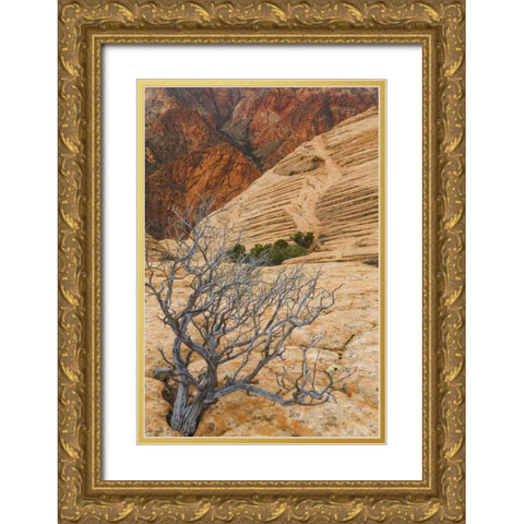 Utah Landscape in Dixie National Forest Gold Ornate Wood Framed Art Print with Double Matting by Paulson, Don