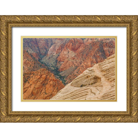 Utah Landscape in Dixie National Forest Gold Ornate Wood Framed Art Print with Double Matting by Paulson, Don