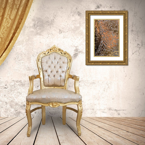 USA, Utah, Zion NP Water abstract Gold Ornate Wood Framed Art Print with Double Matting by Bush, Marie