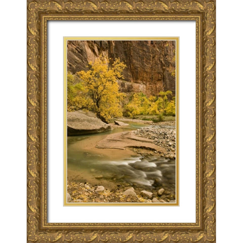 USA, Utah, Zion NP Virgin River autumn scenic Gold Ornate Wood Framed Art Print with Double Matting by Bush, Marie