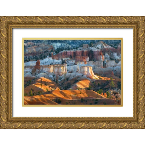 USA, Utah Hoodoo formations in Bryce Canyon NP Gold Ornate Wood Framed Art Print with Double Matting by Rotenberg, Nancy