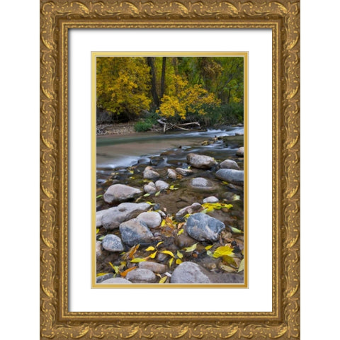 Utah, Zion NP The Narrows with fallen leaves Gold Ornate Wood Framed Art Print with Double Matting by Rotenberg, Nancy